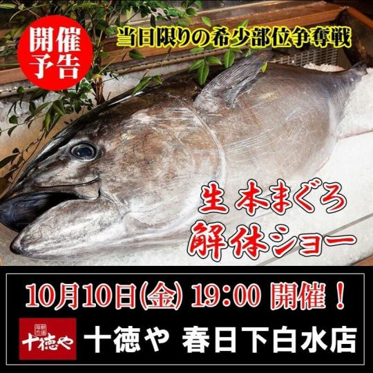 10/10(金)19:00～【生本まぐろ解体ショー】板前が巨大まぐろを捌く！