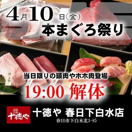 迫力満点!4/10(金)19:15~スタート・まぐろ解体ショー!