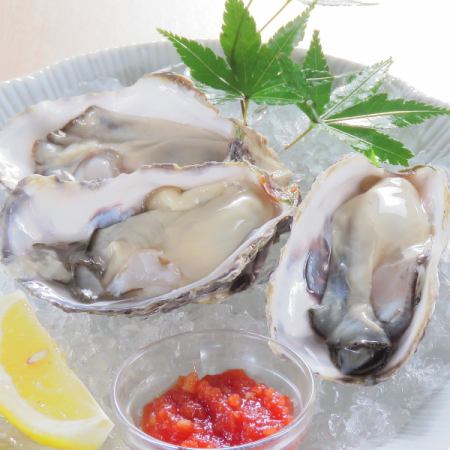 Matoya oyster (raw) with cocktail sauce