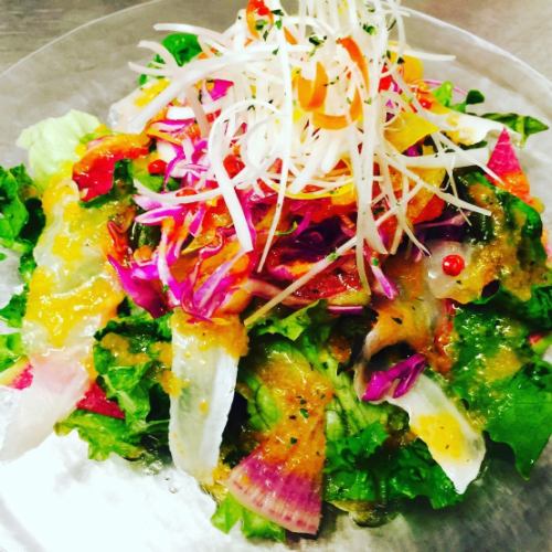 Carpaccio salad with colorful vegetables and seasonal fish