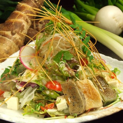 京都食材をふんだんにはんなり和風サラダ