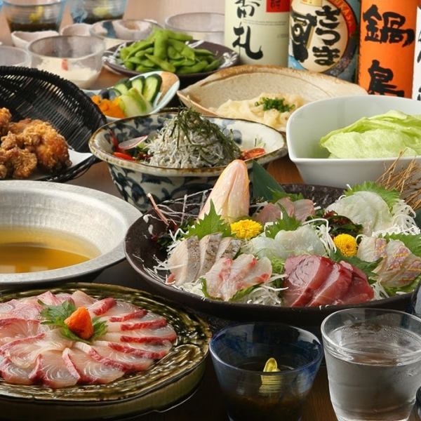 【2時間飲み放題付】 鮮魚4種盛りや桜鯛の木の芽味噌掛け★＜全9品＞5,000円(税込)
