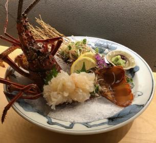 鹿児島産　伊勢海老活き造り