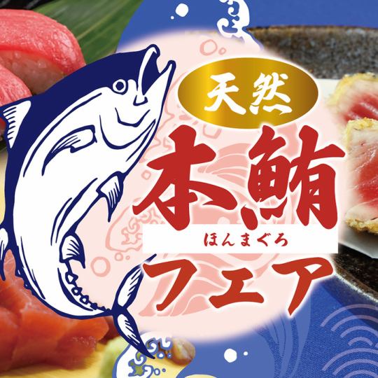 6月・7月限定、天然本鮪フェアコース！全9品　110分飲み放題付8500円⇒7000円