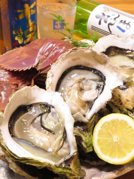 [Seasonal oysters!] Rich and creamy with a delicious flavor♪ (*The origin of the oysters changes depending on the day.Below is an example.)