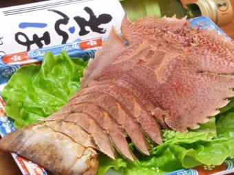 特产斑皮虾