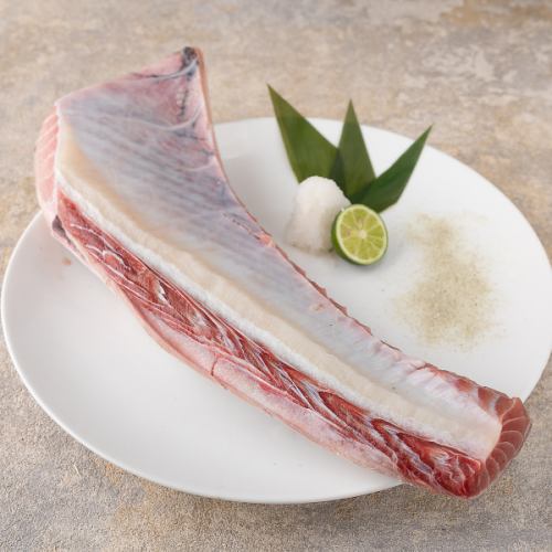 Grilled tuna dorsal fin and belly meat