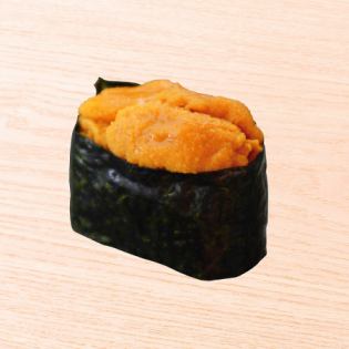 Sea urchin/live red clam