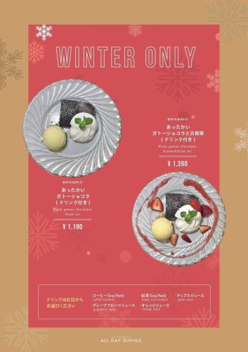 Warm Gateau Chocolat