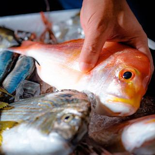 絶品の北陸の幸を堪能＜北陸の魚の美味しさの秘密とは＞