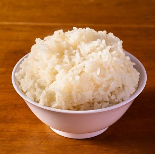 ライス（小／中／大）