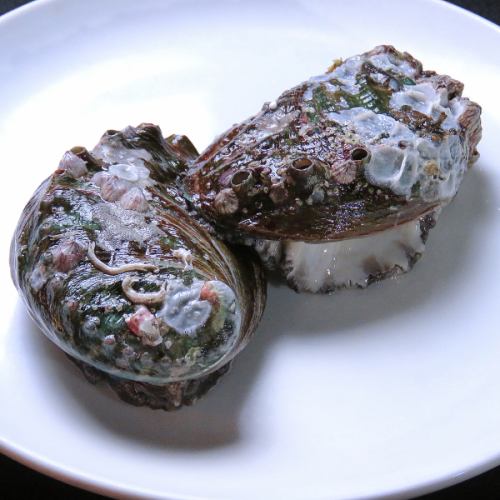 Live abalone teppanyaki (about 100g~)