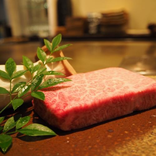 宮崎牛(A5)フィレ　レギュラー　100g