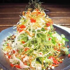 Shitamachi Monja Salad