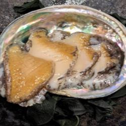蝦夷アワビのお造り