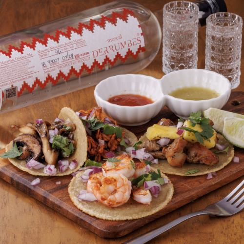 本場仕込みのタコスを堪能