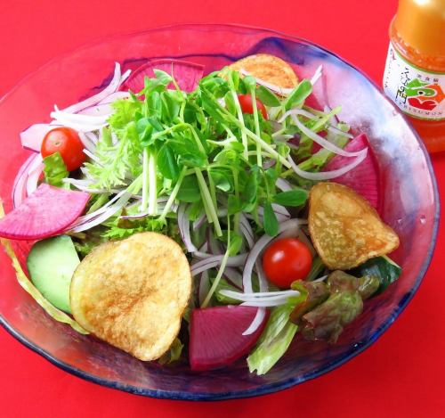 Seasonal Nanairo Salad