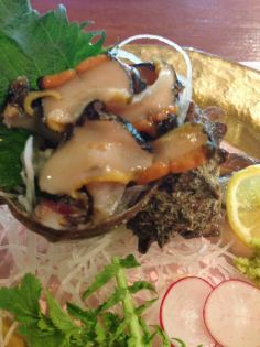 <Kumamoto prefecture fish> Turban shell (1 piece each)