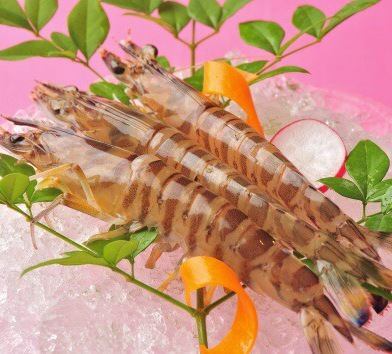 <Kumamoto prefecture fish> Tiger prawns (2 each)