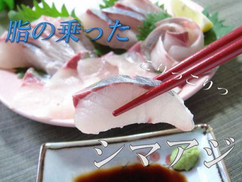 <熊本県魚> しまあじ姿造里 (1尾)