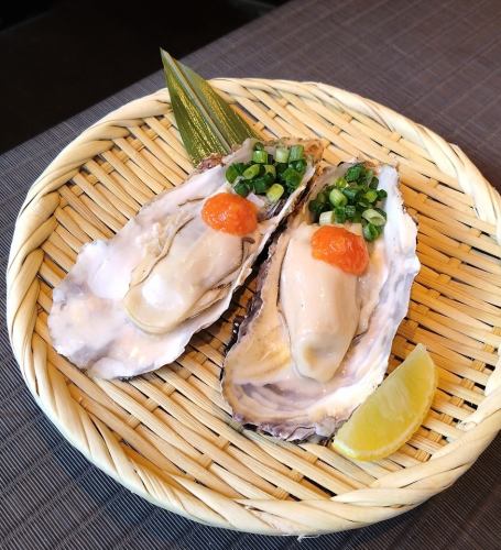 宮城県産 生牡蠣