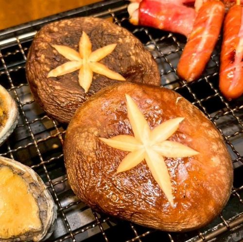 ジャンボ生しいたけ