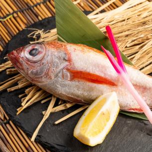 烤黑喉鱸魚