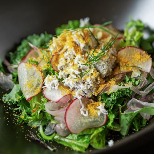 Boiled whitebait and Italian mullet roe salad