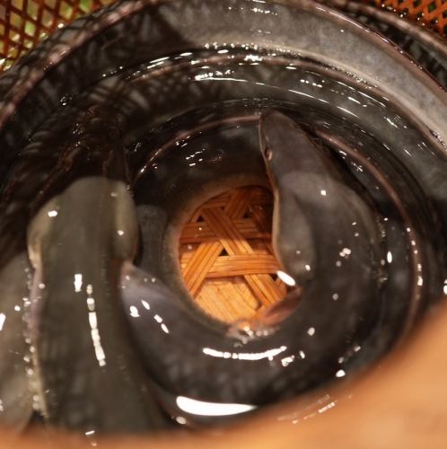一皿に、季節と技を。