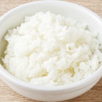 라이스 소