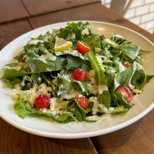 Italian green salad [full]