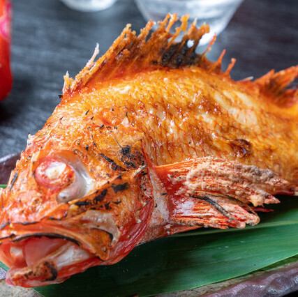 きんきの塩焼き