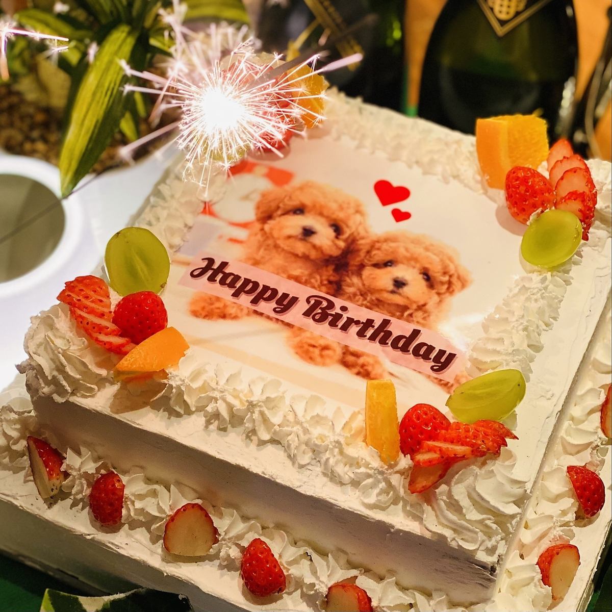 Surprise parties such as photo cakes and original champagne labels are very popular! For private parties around Shibuya Station, leave it to "Shibuya Garden Space Dogenzaka"! *Reservations other than private reservations are also available.