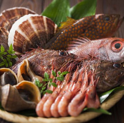 鮮度抜群の海鮮を贅沢に味わえる満足感あふれる逸品の数々