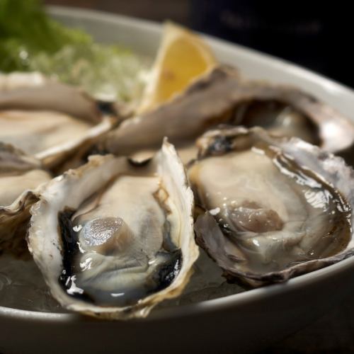 Oyster menu that can be enjoyed in 4 different ways