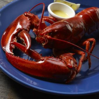 ライブロブスター（スチーム）　R（レギュラー）　Live Lobster (Steamed)  Regular