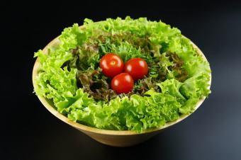 【야채】LIEBE 농원 샐러드(레귤러 사이즈)