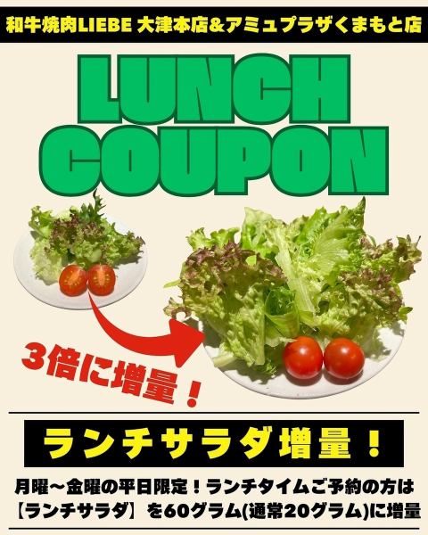 【平日月～金曜日　ランチ限定！】野菜たっぷり！サラダ増量サービス！※12/27日～1/5利用不可