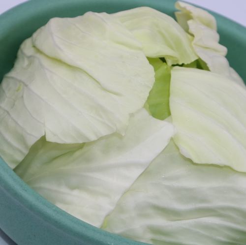 Fresh raw cabbage/single vegetable/addictive cucumber/addictive cabbage