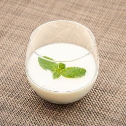 Excellent panna cotta
