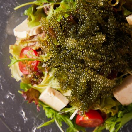 Sea grape and island tofu salad ~Yuzu scented green perilla dressing~