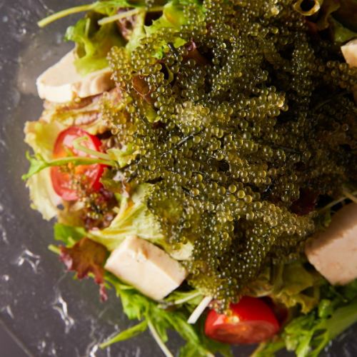 Sea grape and island tofu salad ~Yuzu scented green perilla dressing~