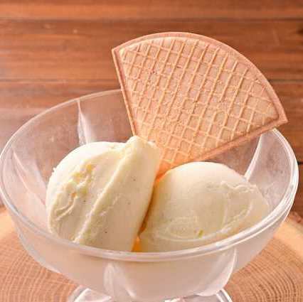 イタリアンジェラート バニラ