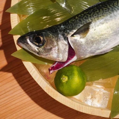 佐賀關青花魚芝麻醬油