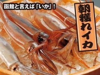 Speaking of Hakodate! Super fresh squid caught in the morning