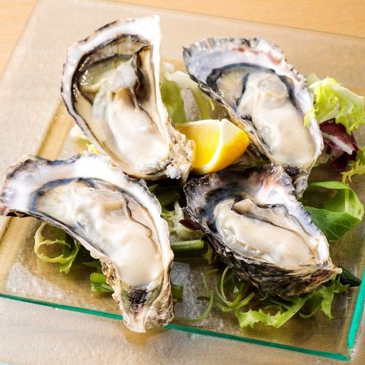 Domestic oyster