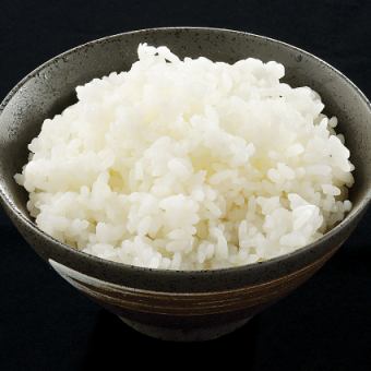 米飯（小/中/大）各