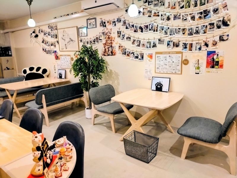 温かみのあるナチュラルな雰囲気が漂う店内。落ち着いた色合いのインテリアと心地よい照明が、リラックスしたひとときを提供します。お一人様でもグループでもご利用いただける空間で、こだわりのおつまみやドリンクをお楽しみいただけます！