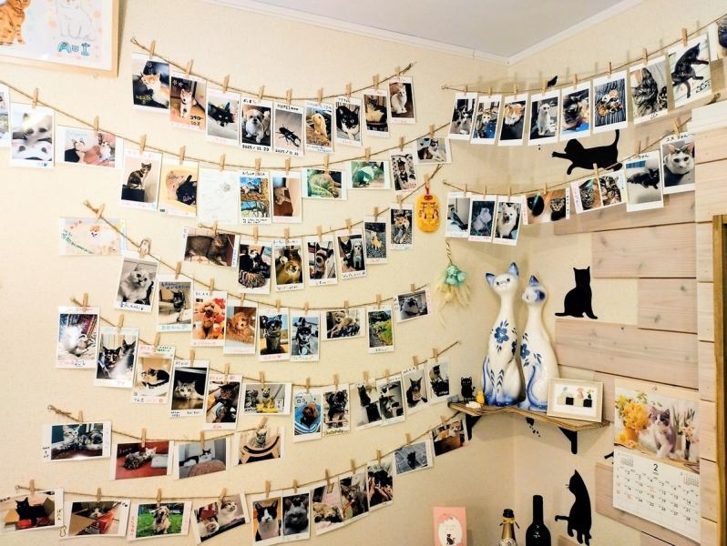 あなたの自慢のペットの写真を当店に飾りませんか！ご来店の際、携帯保存されているペットのお写真をご提示いただければ、その場でプリントアウトし、壁に飾らせていただきます♪是非お気軽にお申し付けください。