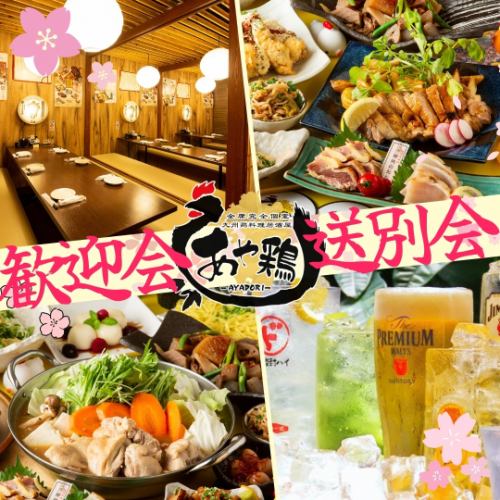 【适用于欢迎会、欢送会等宴会】全套餐附无限量畅饮♪请尽情享用特制的鸡肉料理！